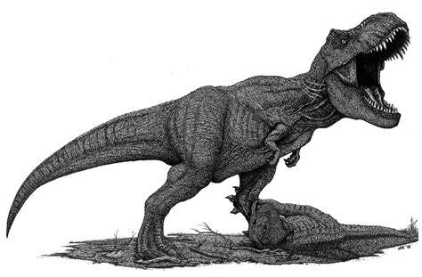 Jurassic World Tiranosaurio Rex Dibujo Urema Nacor