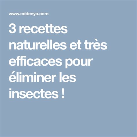 3 Recettes Naturelles Et Très Efficaces Pour éliminer Les Insectes