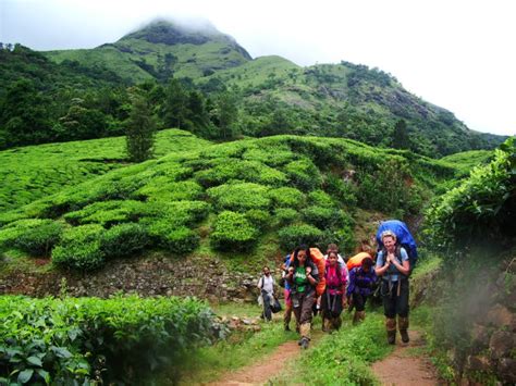 11 Things You Probably Didnt Know About Wayanad But Should