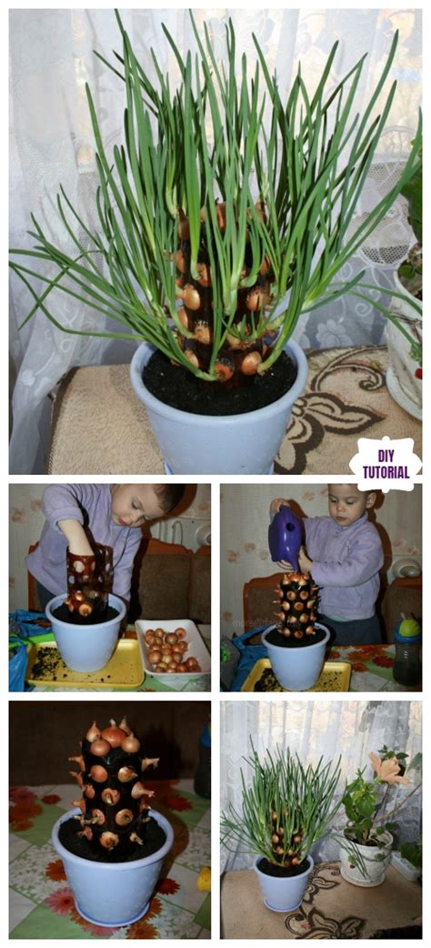 Diy Vertical Onion Tower Planter Out Of Plastic Bottle Vertical My