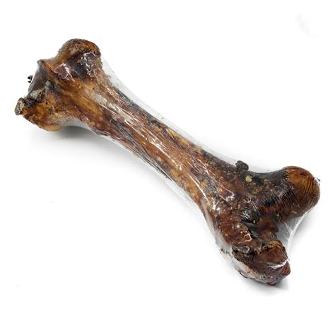 Are Lamb Shank Bones Safe For Dogs