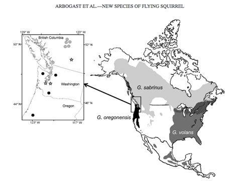 Range Map Of The 3 Flying Squirrels In North America Mammal Watching