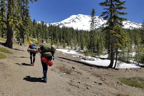 Mount Shasta Guía Para Escalar La Ruta Avalanche Gulch Travernicolas