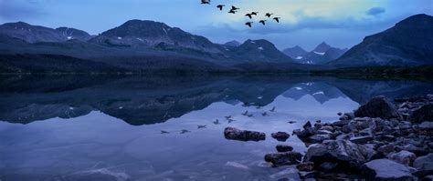 2560x1080 Birds Mountains Stones Evening Lake Wallpaper2560x1080