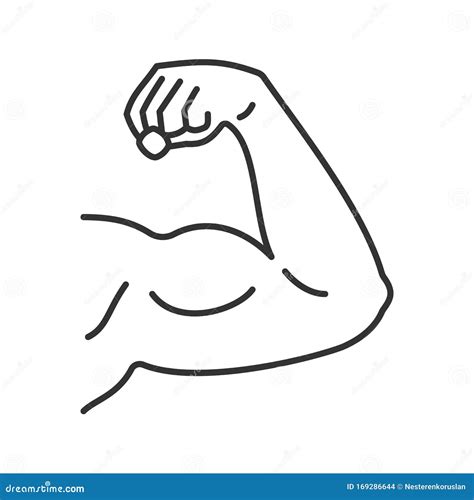 Bicep Drawing Featuring Over 42 000 000 Stock Photos