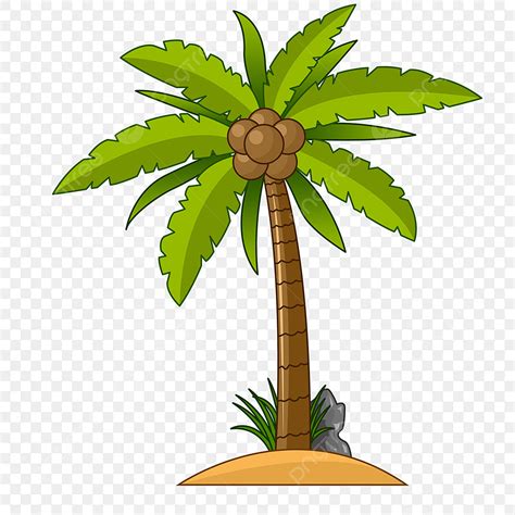Palm Tree Clipart Download Free Transparent Png Format Clipart Images