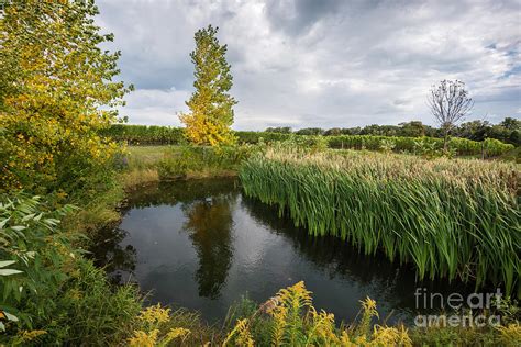 An Idyllic Pond Surrounded By Autumn Trees And Green Grass Photograph