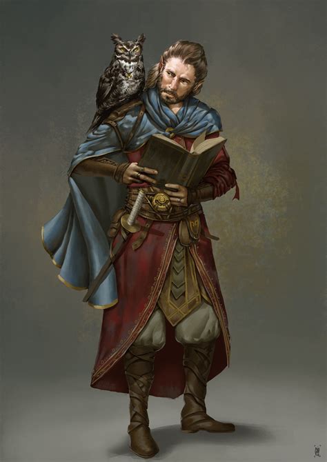 Half Elf Wizard Character Art Dungeons And Dragons Characters