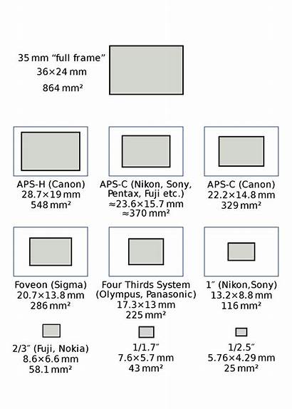 Sensor Sizes Frame Camera Digital Svg Pixels