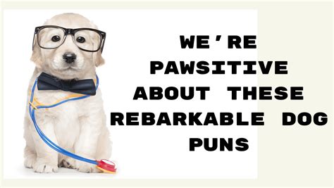 25 Dog Puns That Will Make Your Day Writers Order