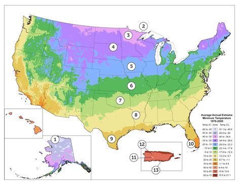 Usda Plant Hardiness Zone Map Of The Us