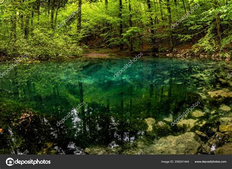 Beautiful Famous Emerald Colored Lake Ochiul Beiului Woods Forest Caras