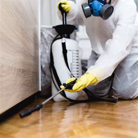 The 6 Best Pest Control Services of 2020