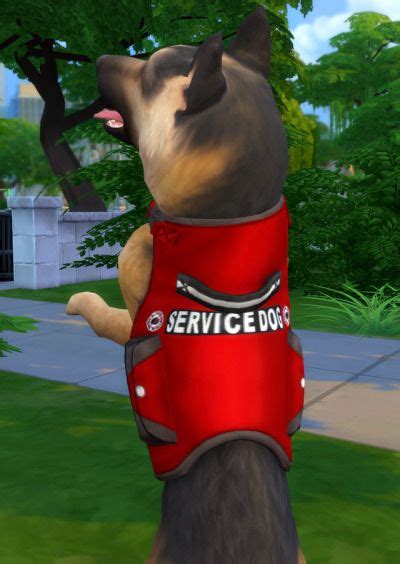 I Have Wanted A Service Vest For My Game Pretty Ash Service Dog