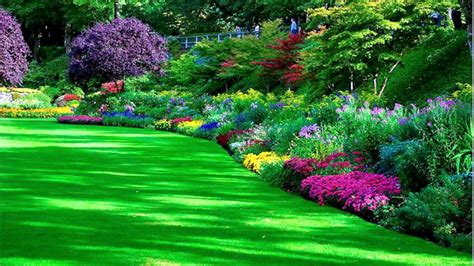 Beautiful Garden Hd Wallpaper Download Flower Garden Images Garden