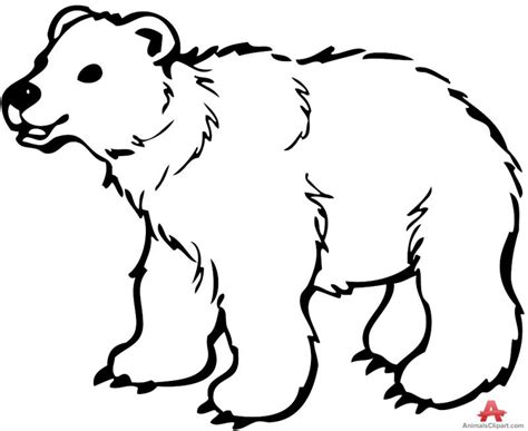 Polar bear outline drawing at getdrawings | free download. Bear Outline Drawing at GetDrawings | Free download