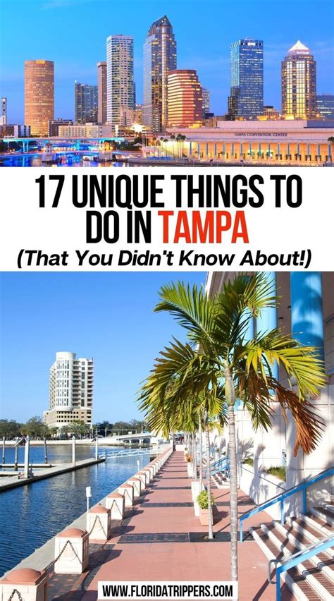 17 Unique Things To Do In Tampa That You Didn T Know About Artofit