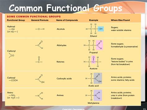 Ppt Biochemistry Of Cells Powerpoint Presentation Free Download Id
