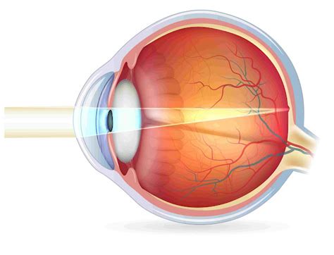 Human Eyes Strange Facts And Health Related Problems Health Secrets