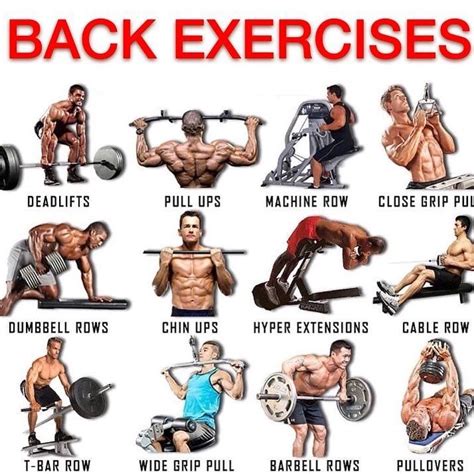 Best Back Routine For Definition Definition Klw