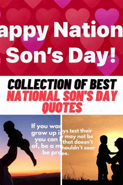 Collection Of Best National Sons Day Quotes