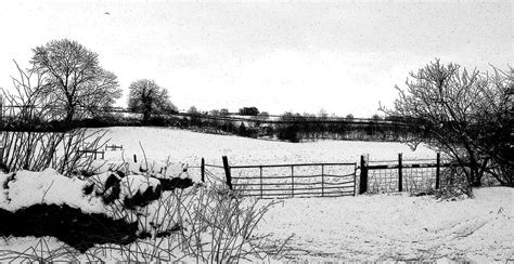 Snowy Fields 2 Dbw Wf Photograph By Lynne Iddon Fine Art America