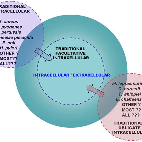 The Dual Lifestyle Of Intracellularextracellular Bacterial Pathogens