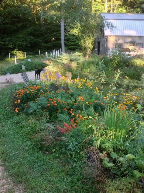 Mixing It Up Can Edibles And Ornamentals Get Along In A Designed