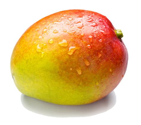 Free Mango Transparent Download Free Mango Transparent Png Images