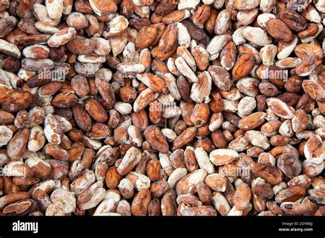 Boisson Onctueuse Au Cacao Banque De Photographies Et D’images à Haute Résolution Alamy
