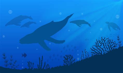Underwater Landscape Background With Silhouette Of Whale Underwater