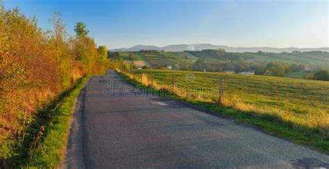 Road In A Village Stock Photo Image Of Meadow Summer 77663202