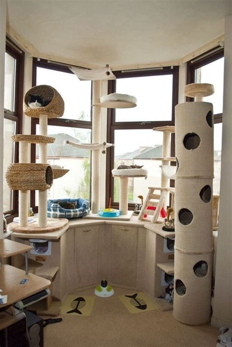 18 Amazing Cat Room Designs For Your Inspiration I Can Has