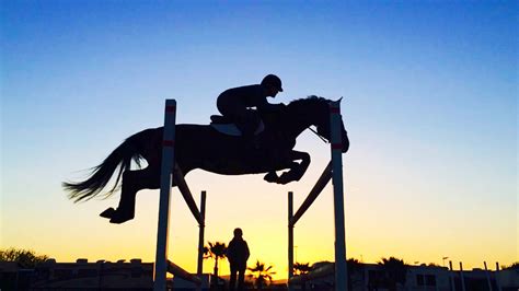 Find the perfect horse jumping silhouette stock photos and editorial news pictures from getty images. Hunter Jumper, horse | My Sport. | Pinterest | Hunter ...