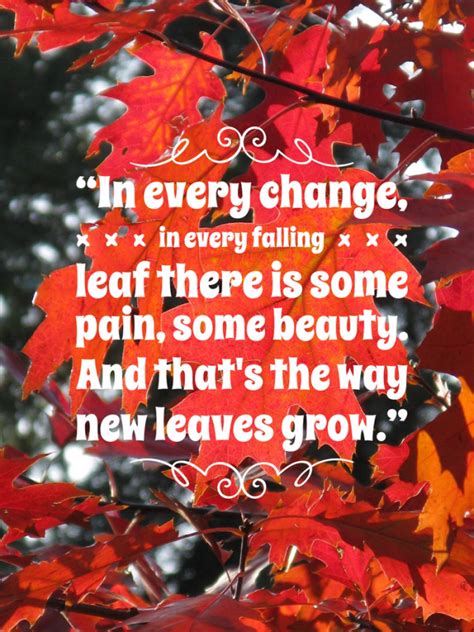 9 Welcome Autumn Quotes About My Favorite Season Pretty Opinionated