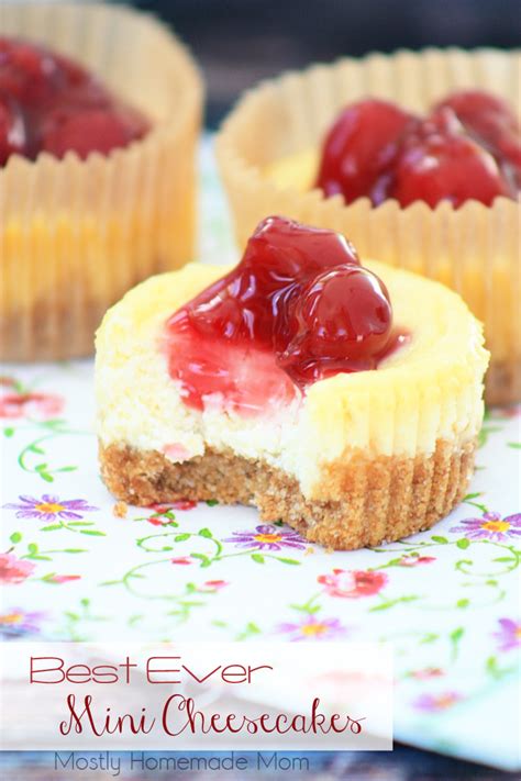 Best 15 Best Mini Cheesecake Recipe Best Recipes For Your Kitchen