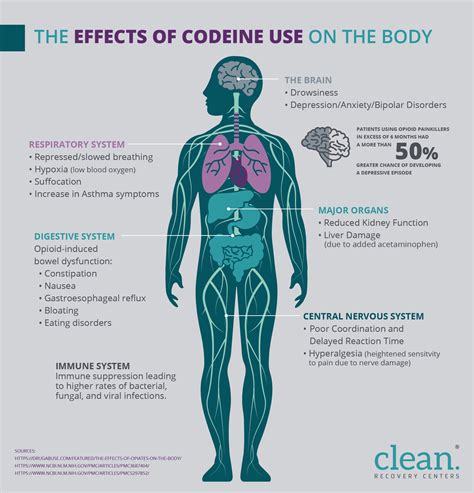 Understanding The Side Effects Of Codeine Abuse Clean Recovery Centers