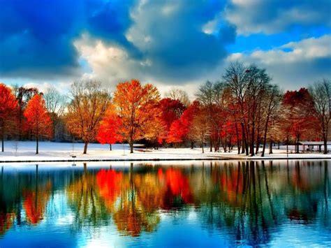 Snowy Autumn Trees Wallpapers Wallpaper Cave