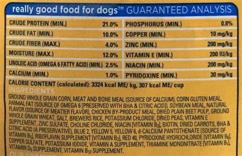 How To Choose The Right Dog Food Ammo The Dachshund