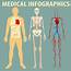 Medical Infographic Of Human Body 299365 Vector Art At Vecteezy