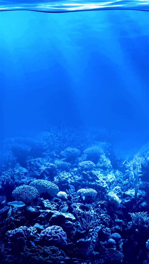 Underwater Coral Reef With Sunlight Streaming