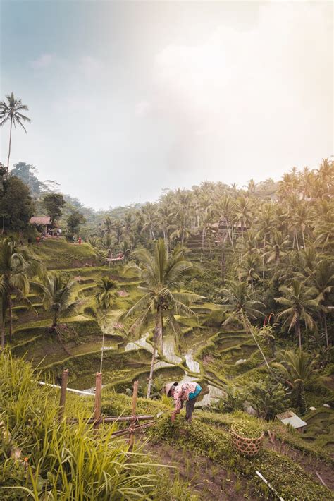 12 Tempat Wisata Terbaik Di Indonesia Yang Mendunia Tripcetera