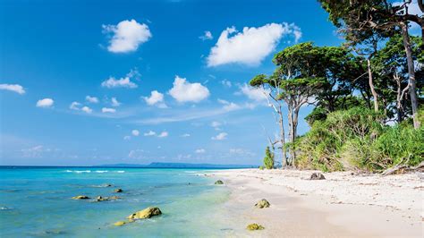 Andamanen und Nikobaren Urlaub 2024 2025 Günstig buchen bei HolidayCheck