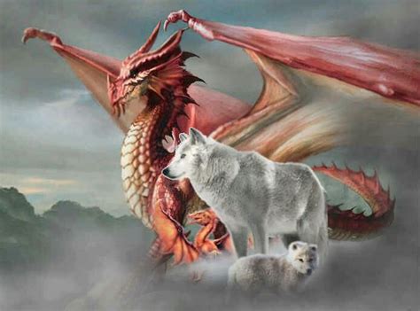 Dragon And Wolves Dragon Wolf Dragon Artwork Dragon Pictures
