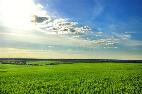 Green Field And Blue Sky Stock Photo Image Of Agriculture 72220912