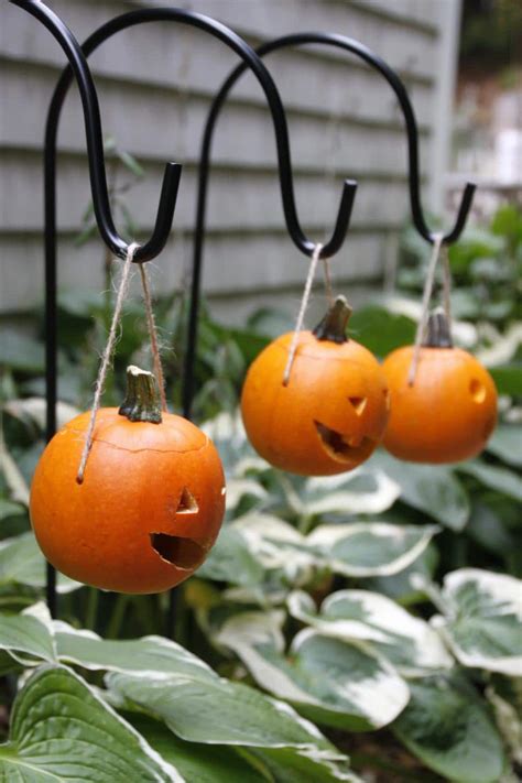 Jack O Lantern Ideas For Halloween Northern Lights And Trees