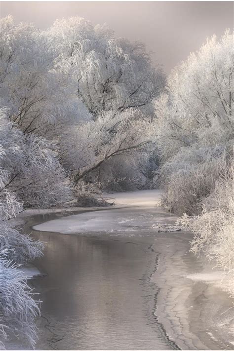 Snowy White Countryside Winter Trees Water Reflection Peaceful