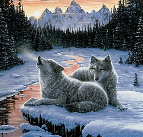Pin By Shauna Caughron On Beautiful Wolves And Wolf Art Animals Wild