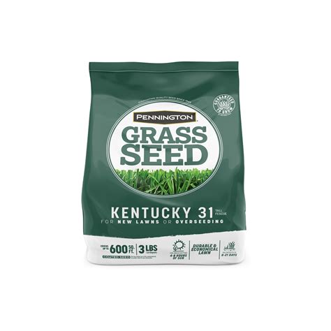 Kentucky 31 Grass Seed At