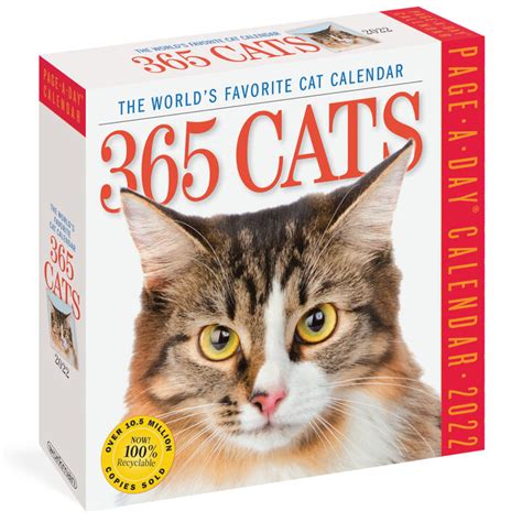 365 Cats 2022 Page A Day Calendar By Workman Publishing Kittery